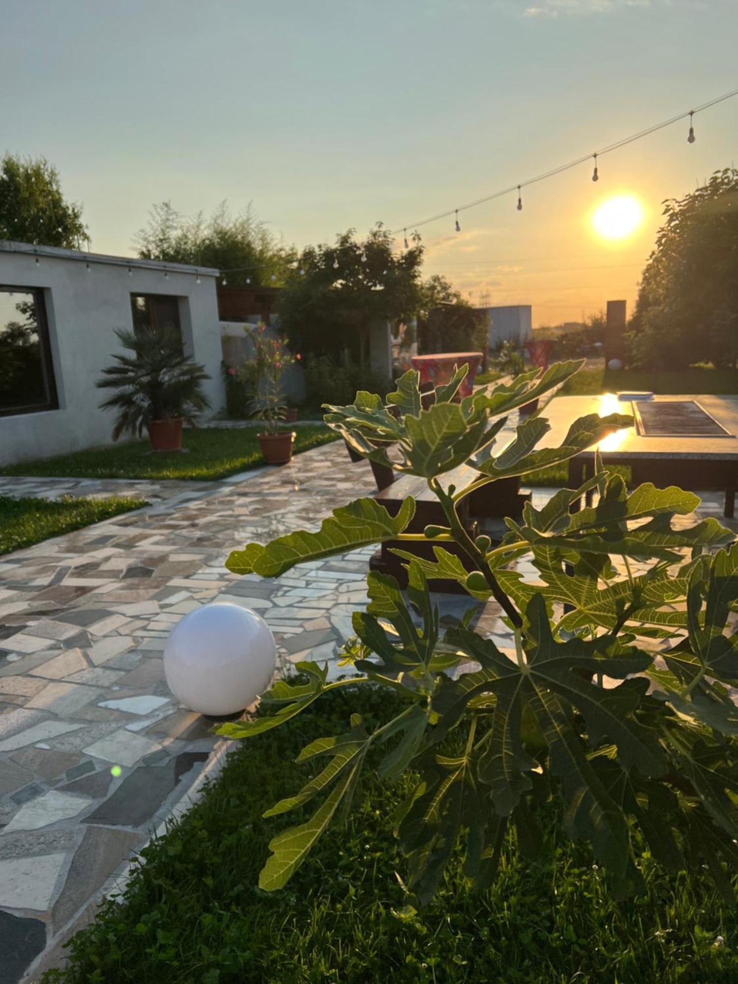 La Casa Blanca Apartment Vladimirescu Екстериор снимка