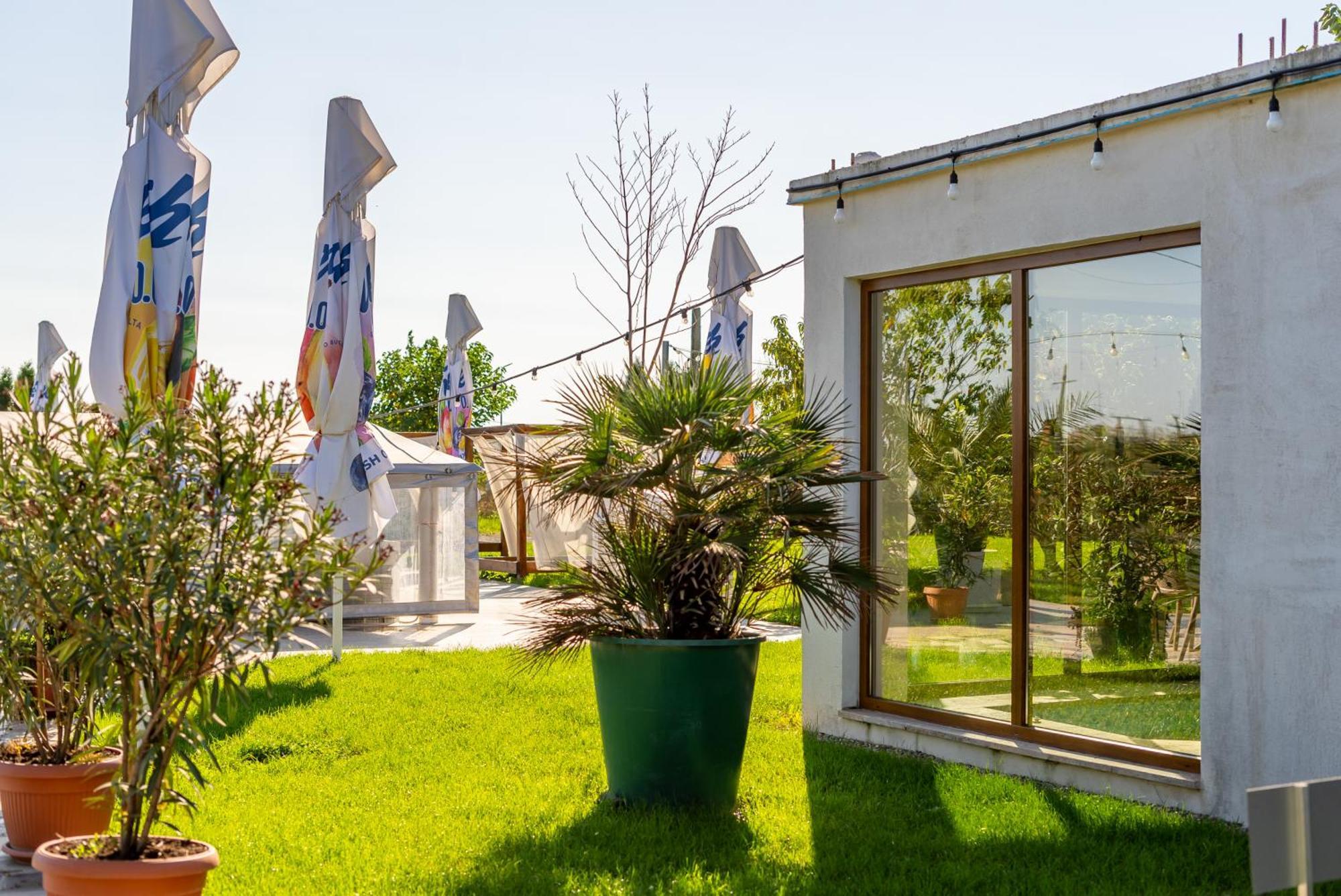 La Casa Blanca Apartment Vladimirescu Екстериор снимка